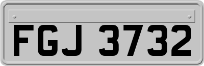 FGJ3732