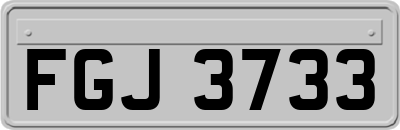 FGJ3733