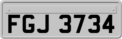 FGJ3734