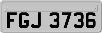 FGJ3736