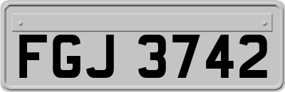 FGJ3742