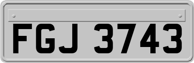 FGJ3743