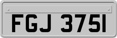 FGJ3751