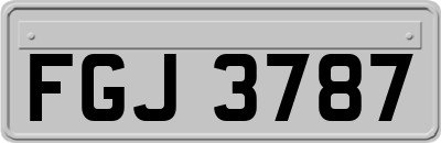 FGJ3787