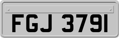 FGJ3791