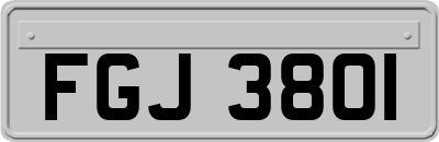 FGJ3801