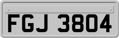 FGJ3804