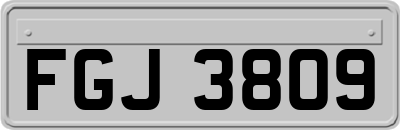 FGJ3809