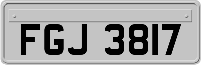 FGJ3817