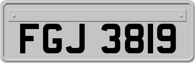 FGJ3819