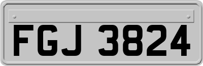 FGJ3824