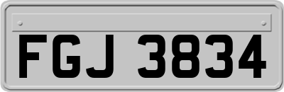 FGJ3834