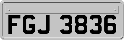FGJ3836