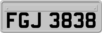 FGJ3838