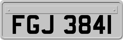 FGJ3841