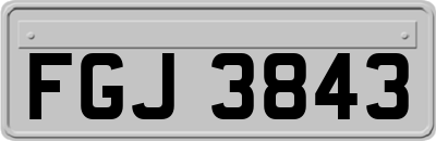 FGJ3843