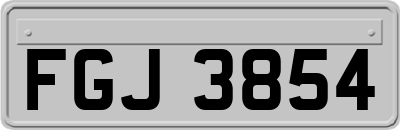FGJ3854