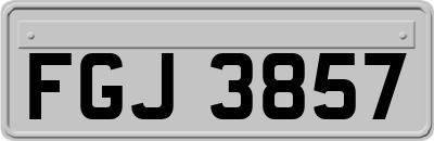 FGJ3857