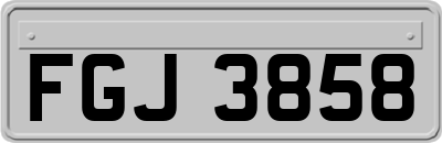 FGJ3858