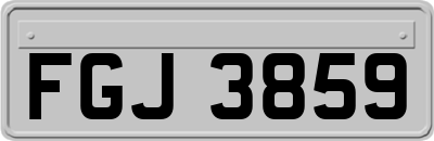 FGJ3859