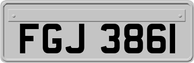FGJ3861