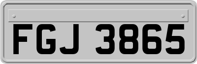 FGJ3865