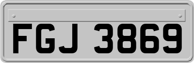 FGJ3869