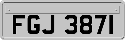 FGJ3871