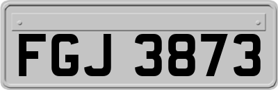 FGJ3873