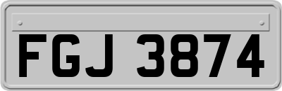 FGJ3874