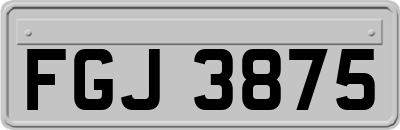 FGJ3875
