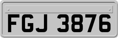FGJ3876