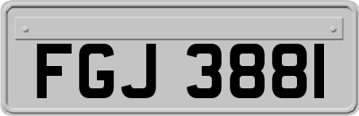 FGJ3881