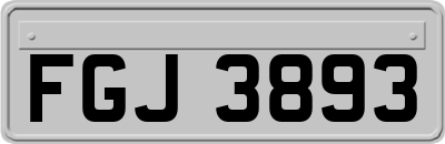 FGJ3893