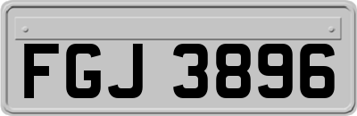 FGJ3896