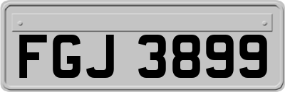 FGJ3899