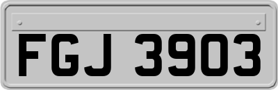FGJ3903