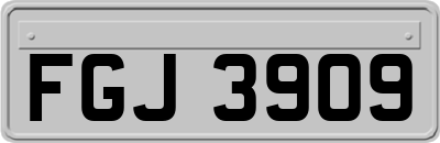 FGJ3909