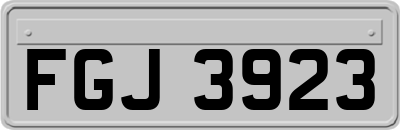FGJ3923