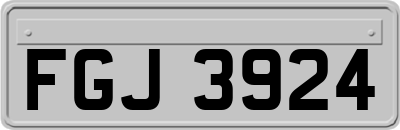 FGJ3924