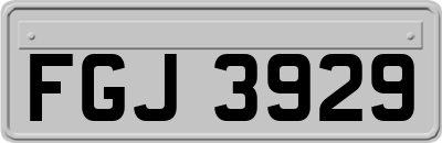 FGJ3929