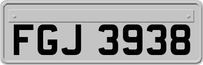 FGJ3938