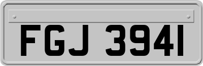 FGJ3941