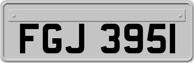 FGJ3951