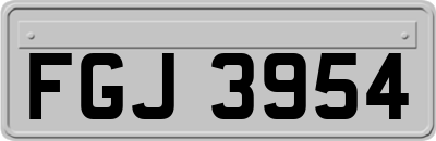FGJ3954