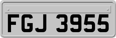 FGJ3955