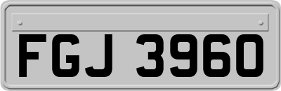 FGJ3960