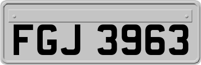 FGJ3963