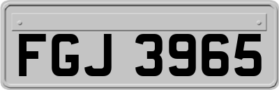 FGJ3965