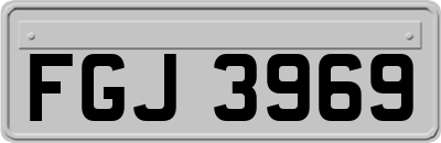 FGJ3969